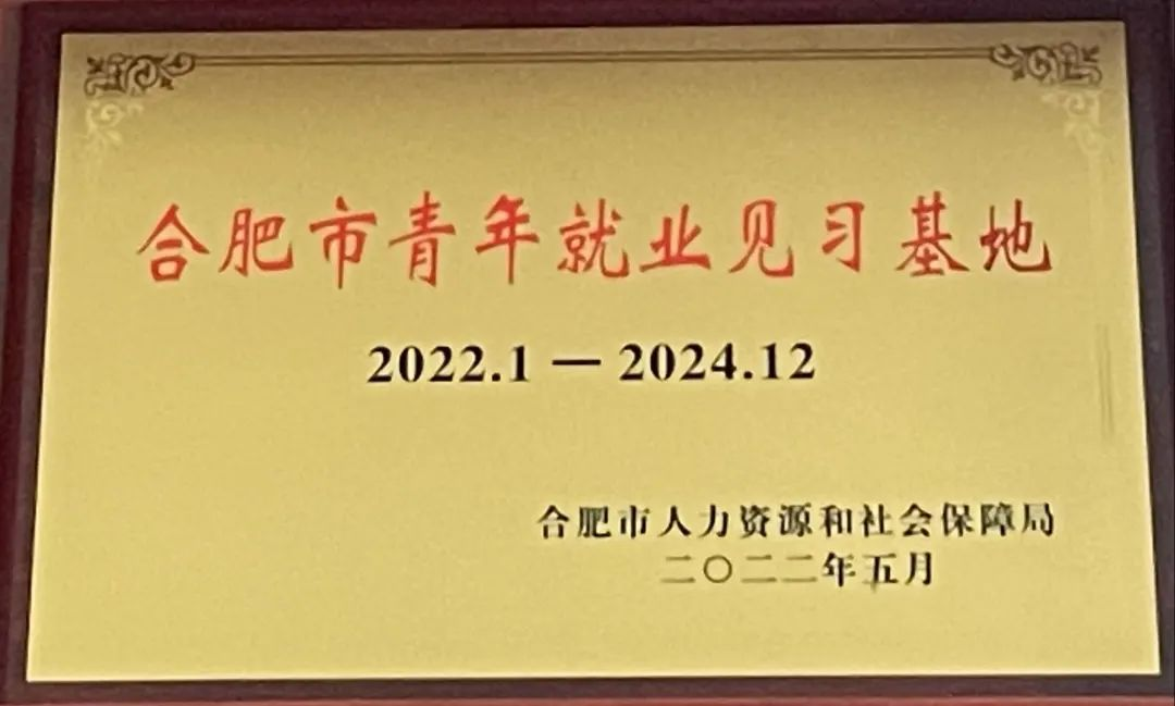 喜报丨合肥华安脑科医院被认定为&ldquo;2022年度市级青年就业见习基地&rdquo;