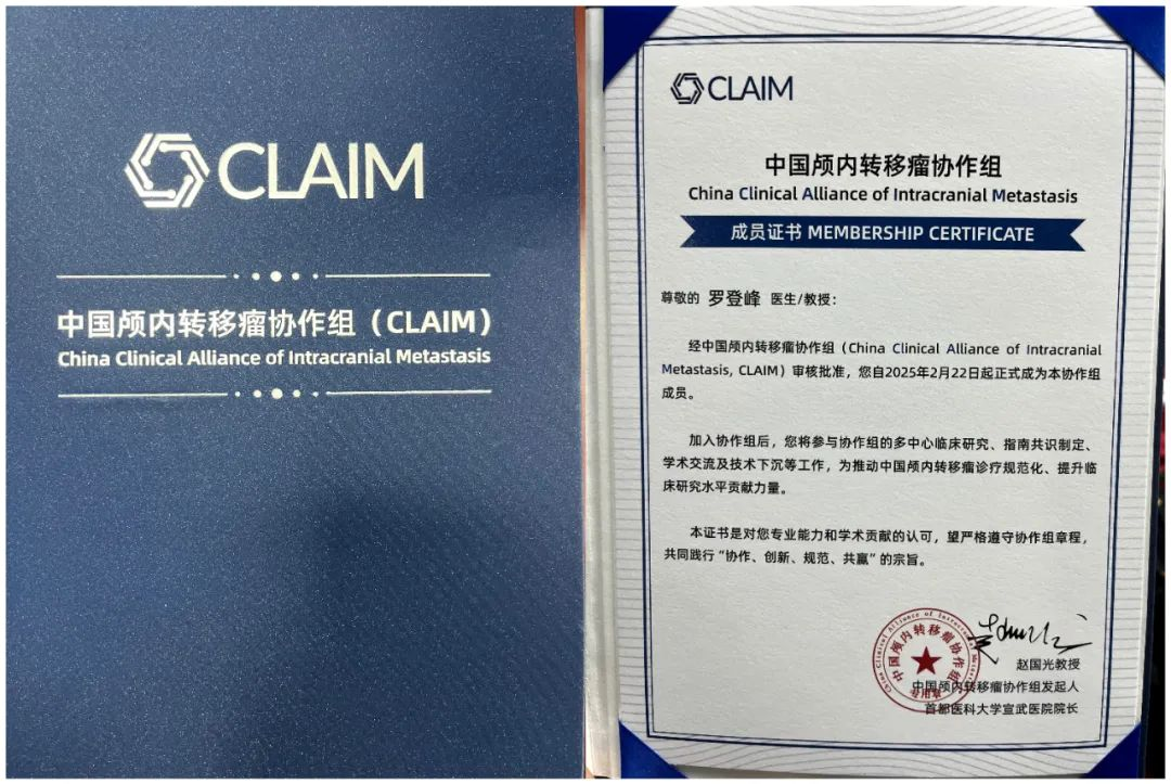 中国颅内转移瘤协作组成员罗登峰